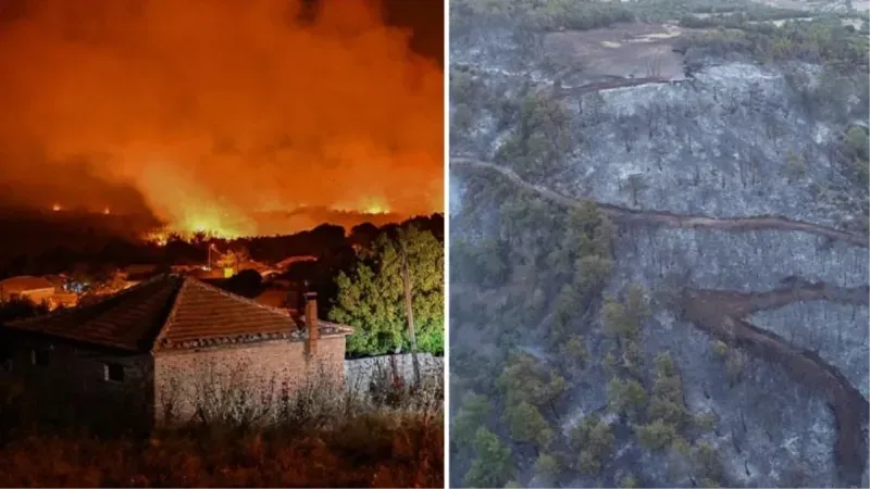 İzmir, Çanakkale ve Antalya'da Orman Yangınları Kontrol Altına Alınamadı