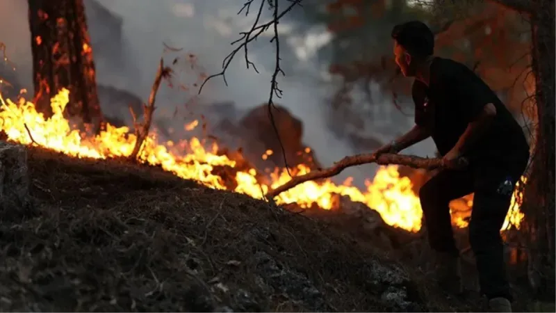 Antalya, Eskişehir, Bolu, Bayburt ve Bingöl'de peş peşe orman yangını!