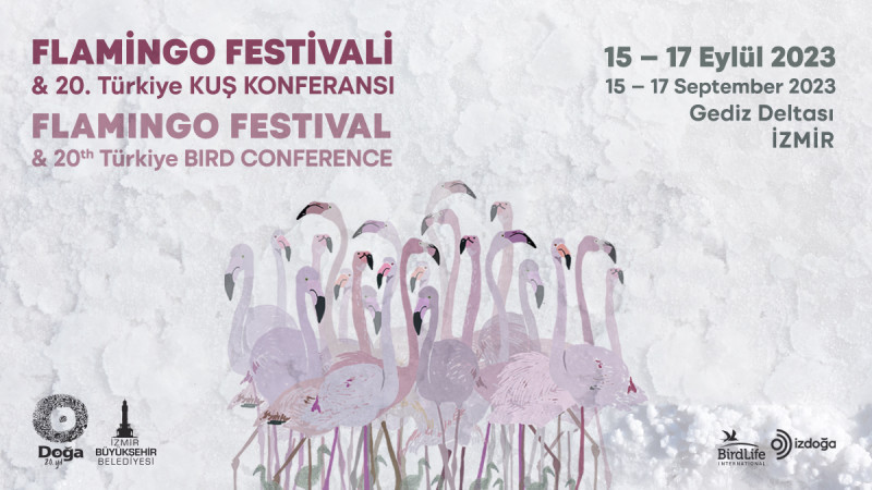 Türkiye’nin ilk Flamingo Festivali İzmir’de Gerçekleşiyor.