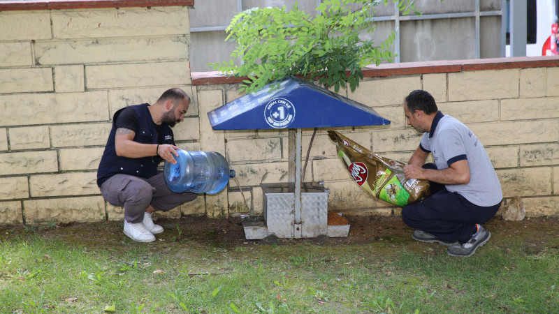 KÜÇÜKÇEKMECE BELEDİYESİ’NDEN SOKAK HAYVANLARI İÇİN MAMA VE SU DESTEĞİ