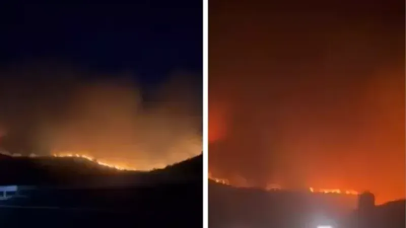 Türkiye'nin yangın kabusu sürüyor! 