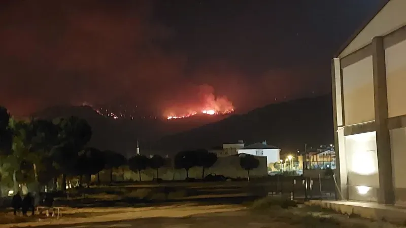 Denizli'de alevler yerleşim yerlerine ulaştı