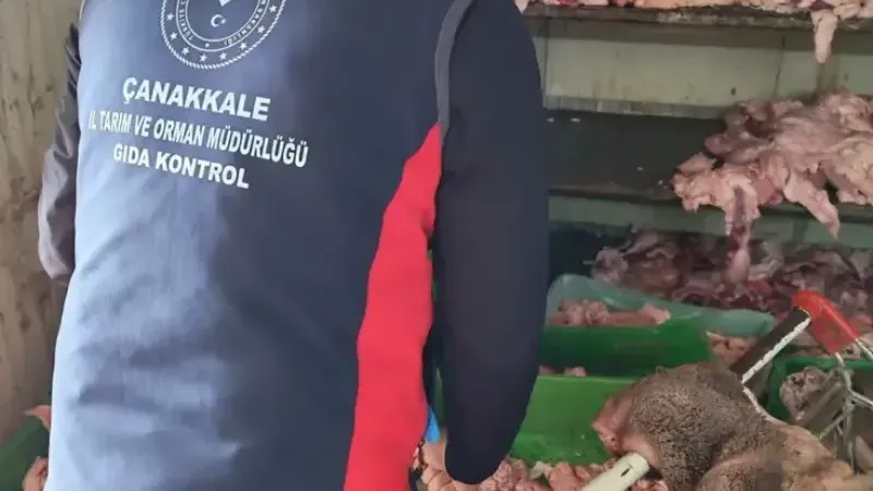 VİCDANSIZLIK'DA ZİRVE