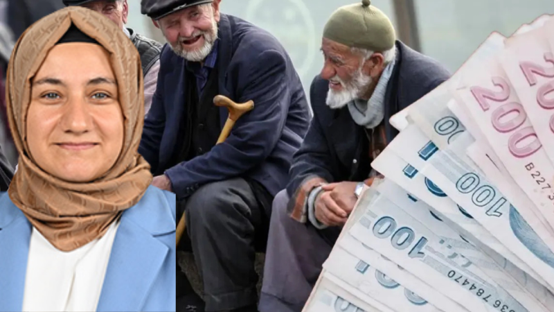 AK Partili meclis üyesinin emekli sözleri sosyal medyayı karıştırdı